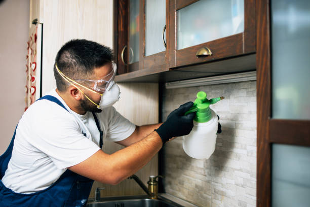 Best Best Pest Control Companies  in Pines Lake, NJ