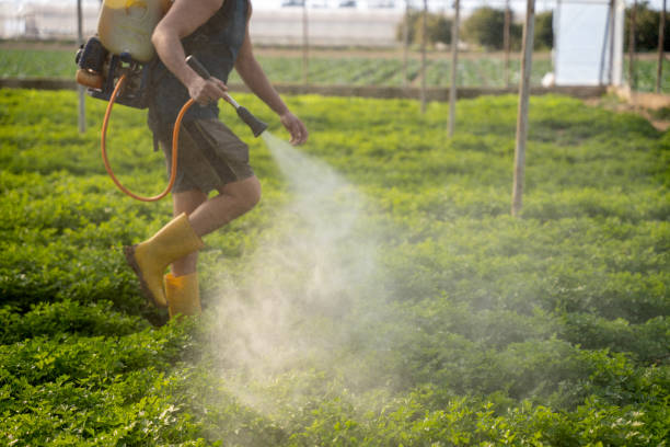 Best Commercial Pest Control Services  in Pines Lake, NJ