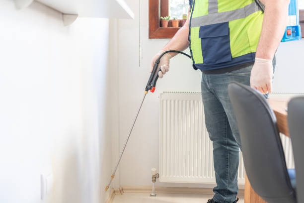 Best Wasp Removal Services  in Pines Lake, NJ