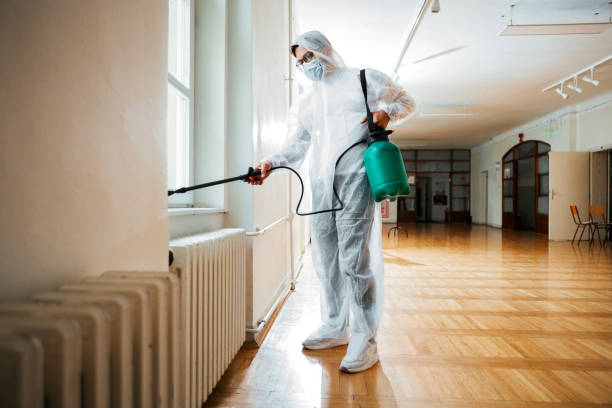 Best Wasp Removal Services  in Pines Lake, NJ