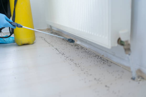 Best Mosquito Control Services  in Pines Lake, NJ