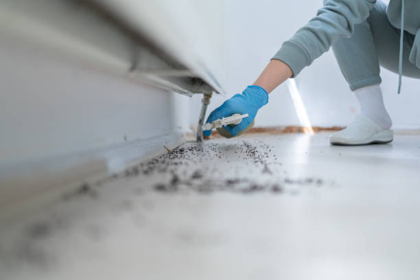 Best Wildlife Control Services  in Pines Lake, NJ